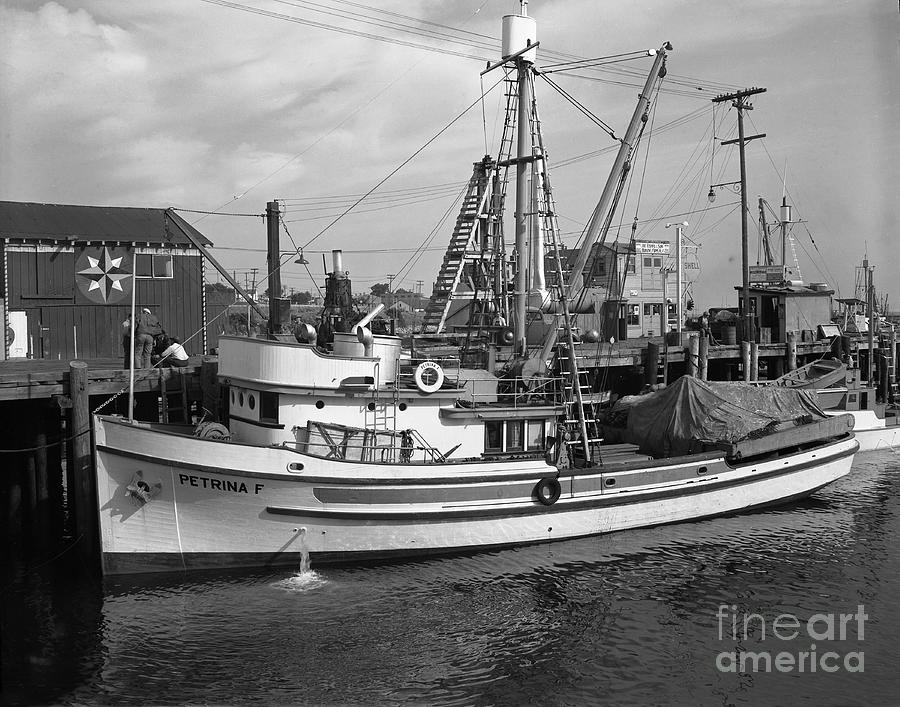 Boat Photograph - Petrina F Purse Seiners Monterey circa 1947 by Monterey County Historical Society