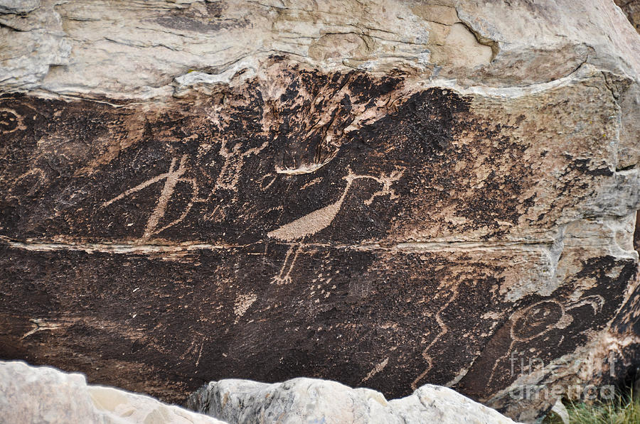 Petroglyph Bird Photograph by Cheryl McClure