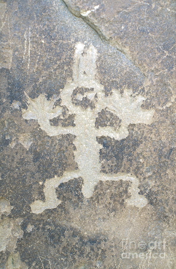 Petroglyph Photograph