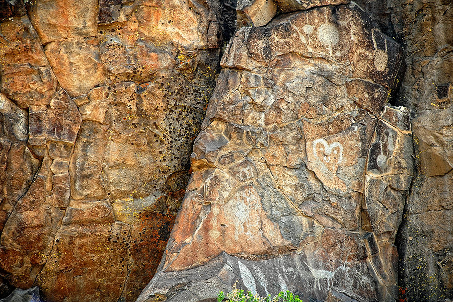 Petroglyph collection Photograph by John Bennett