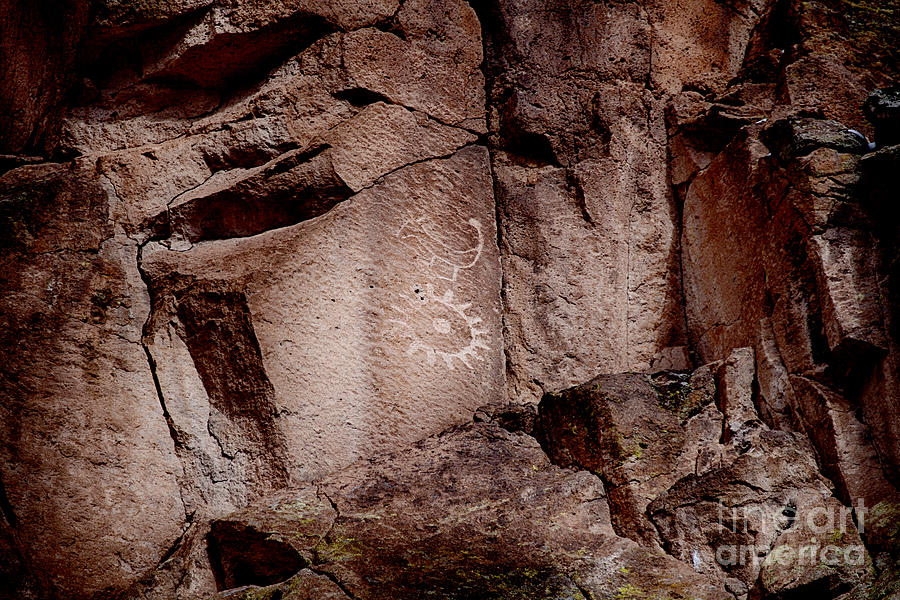 Bandelier National Monument Photograph - Petroglyph by Douglas Barnard