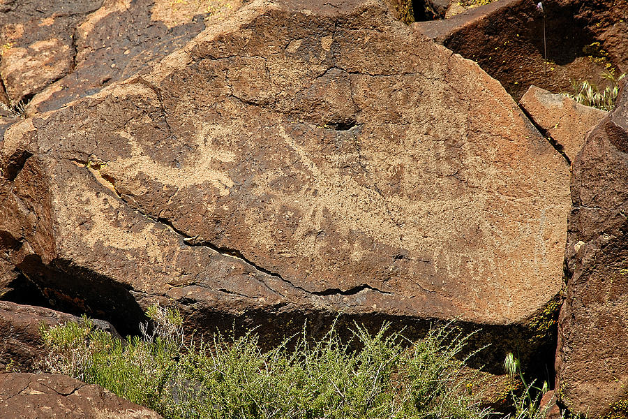 Petroglyph  Photograph by John Bennett