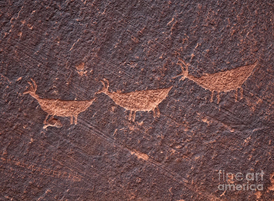 Red Rocks Photograph - Petroglyphs by Claudia Kuhn