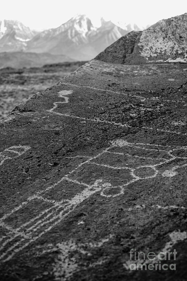 Petroglyphs Photograph by Misty Tienken