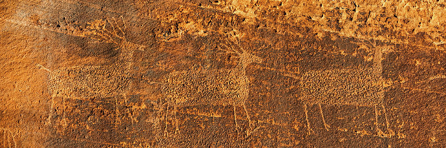 Arches National Park Photograph - Petroglyphs On Sandstone, Arches by Panoramic Images