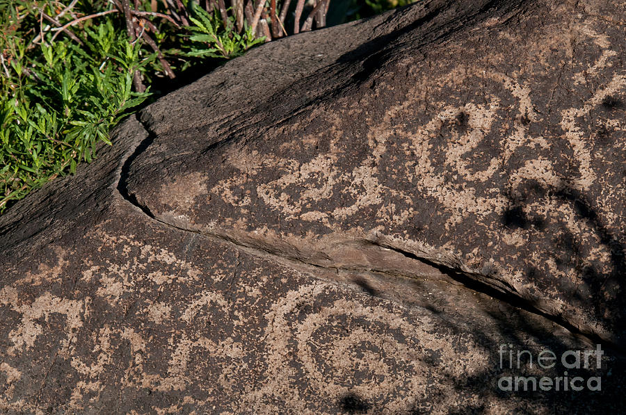 Saguaro National Park Photograph - Petroglyphs, Saguaro National Park by Mark Newman