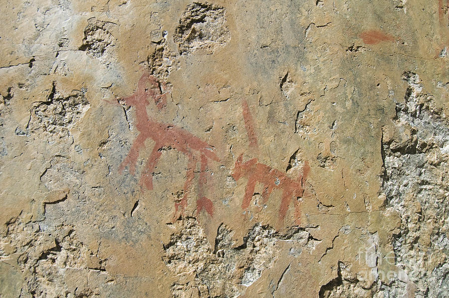 Animal Photograph - Petroglyphs by William H. Mullins