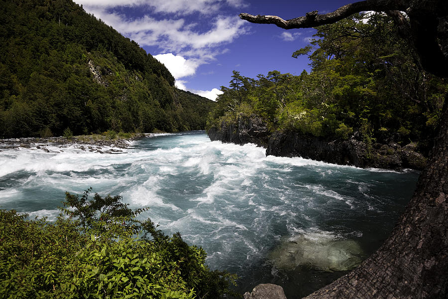 Petrohue river in the Chilean Lake District. Photograph by Nicolamargaret