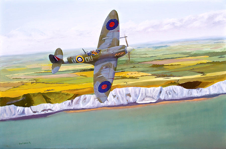 Rnzaf Painting - petrol over Dover by Don  Wilkie