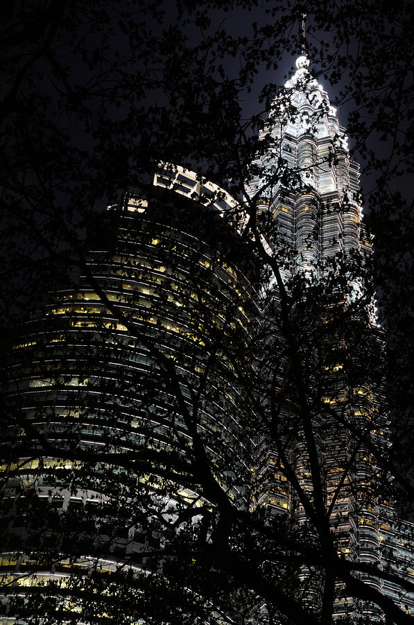 Petronas Towers Tree Silhouette Photograph by Jeremy Voisey