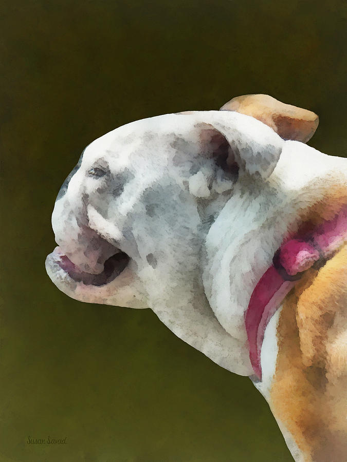 Pets - English Bulldog Profile Photograph by Susan Savad