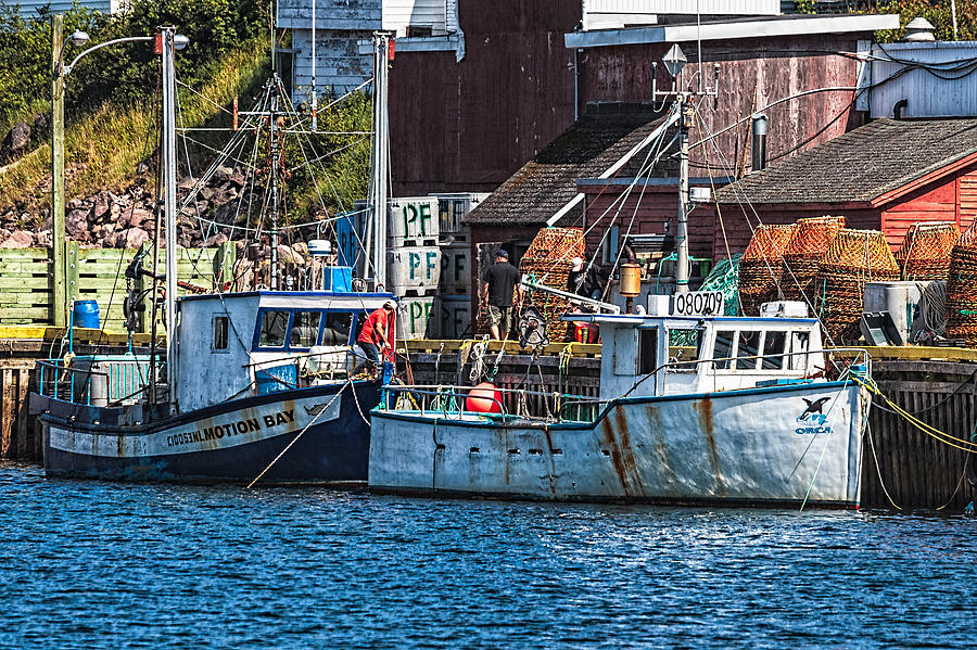 Petty Harbour Photograph by Perla Copernik