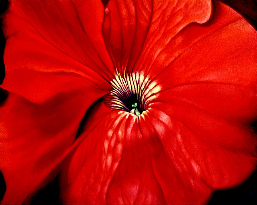 Petunia Painting by Elizabeth Adkins Petunia Painting by Elizabeth Adkins