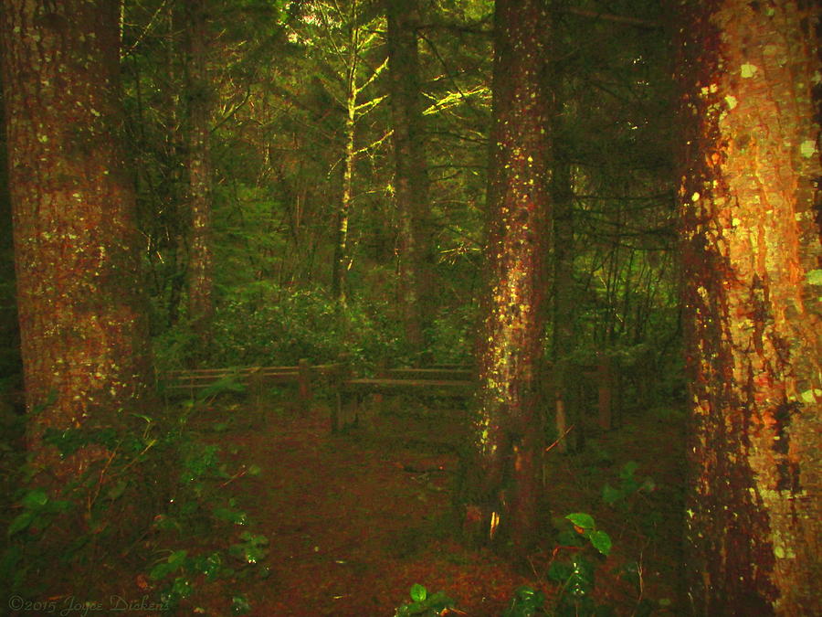 Nature Photograph - Pews In The Forest by Joyce Dickens