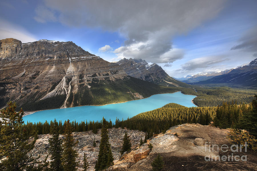 Peyto Lake Banff Photograph by Dan Jurak