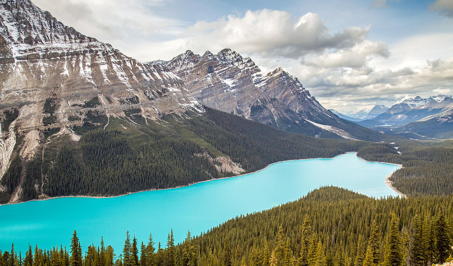 Into The Wild Photograph - Peyto Lake Banff by Pierre Leclerc Photography