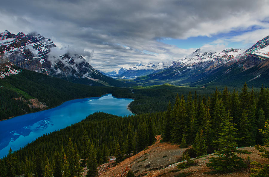 Peyto Lake Photograph by Brandon Smith - Fine Art America