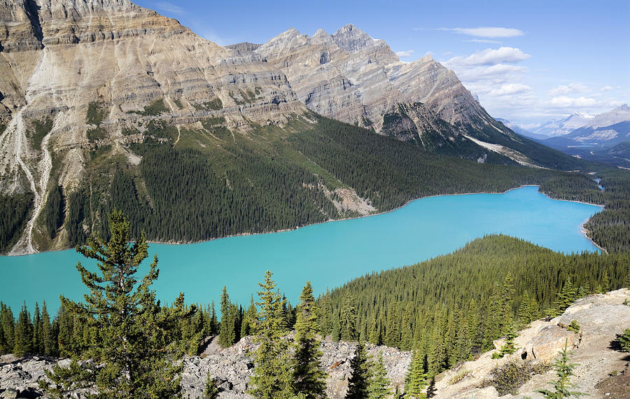 Peyto Lake Photograph by Elsvandergun | Fine Art America