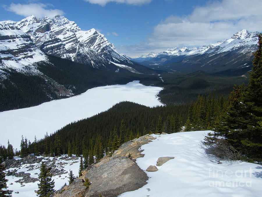 Peyto Lake - Frozen in May  Photograph by Phil Banks
