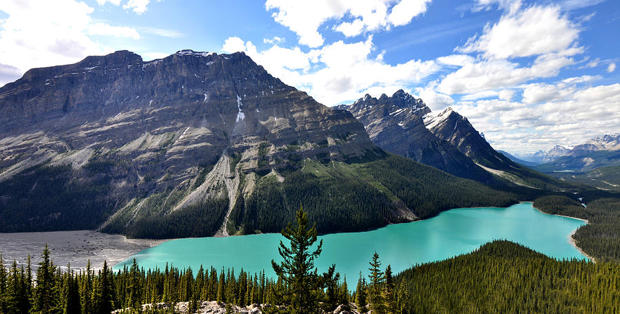 Banff National Park Photograph - Peyto Lake in Rocky Mountains Canada by Eddy Galeotti
