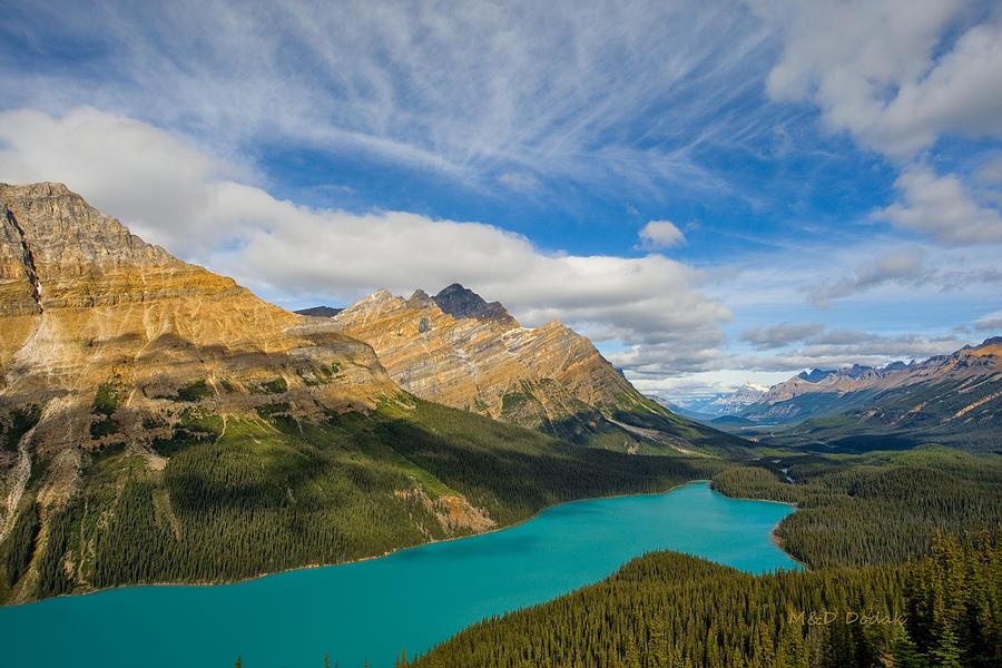 Peyto Lake Photograph by Mike Dodak - Fine Art America