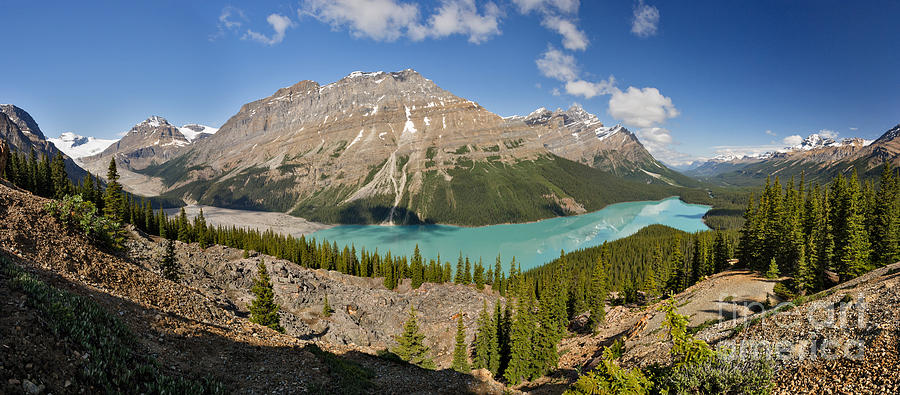 Banff National Park Photograph - Peyto Revisited by Charles Kozierok