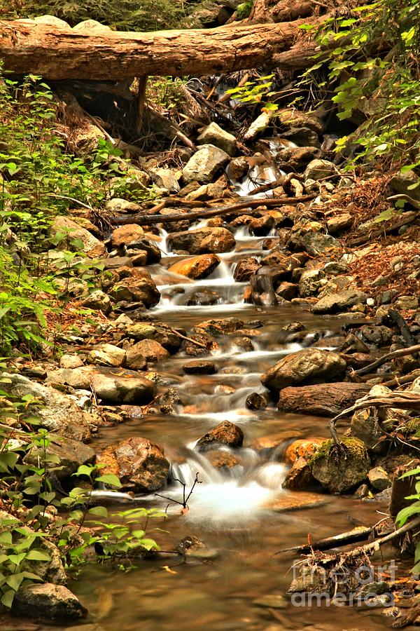 Pfeiffer Burns Waterfall Creek Photograph by Adam Jewell