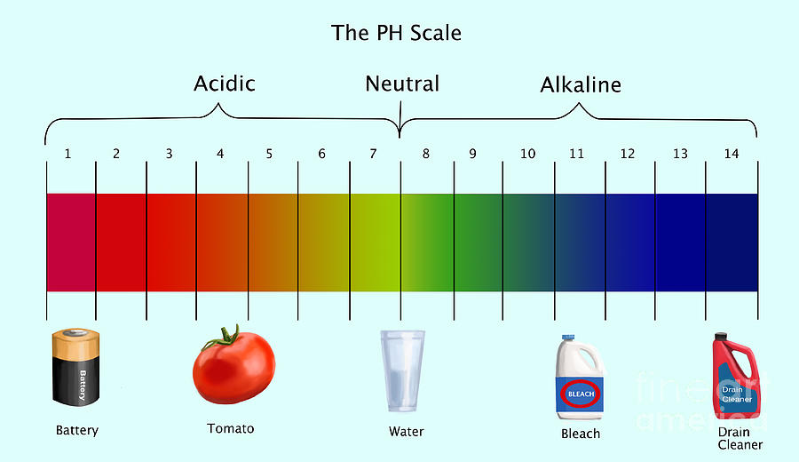 Ph Scale Photograph by Spencer Sutton