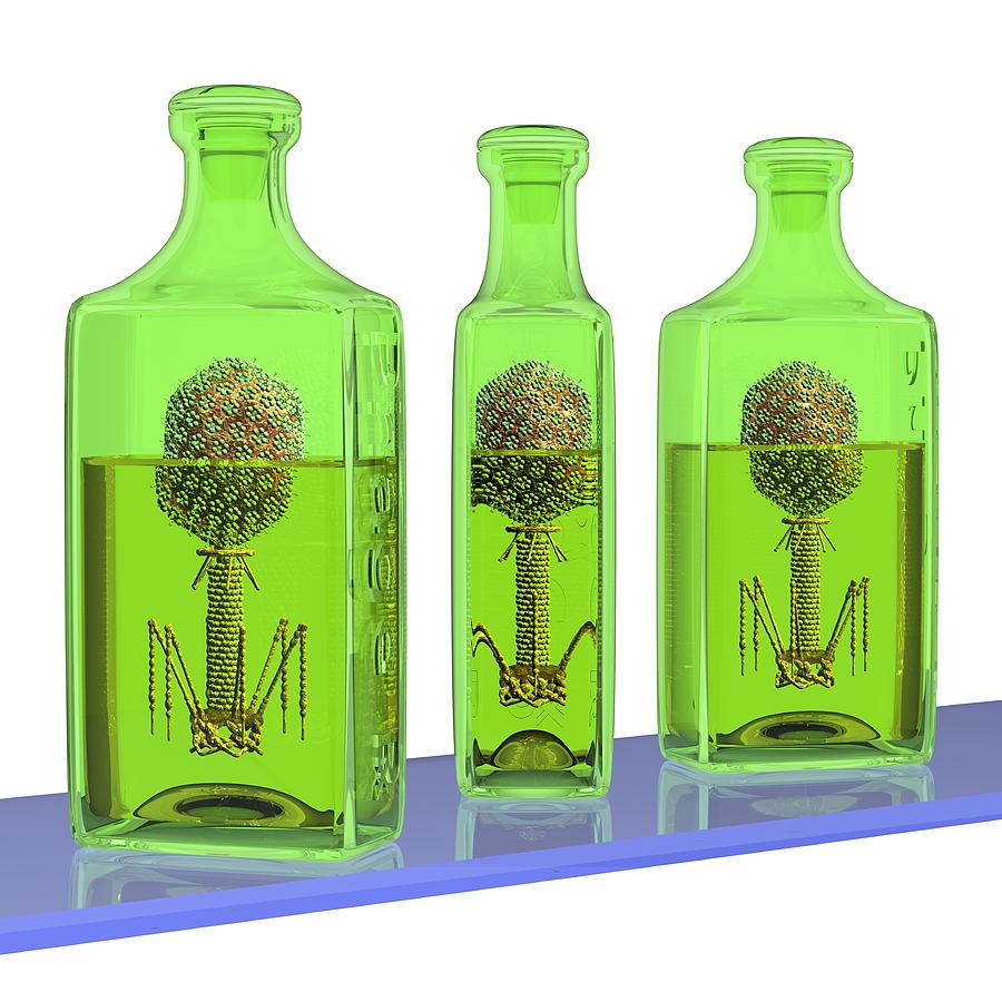 Phage Therapy Bottles Photograph by Russell Kightley