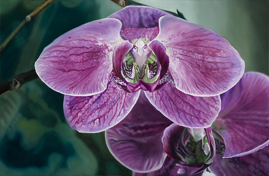 Orchid Painting - Phalaenopisis Orchid I by Kevin Aita