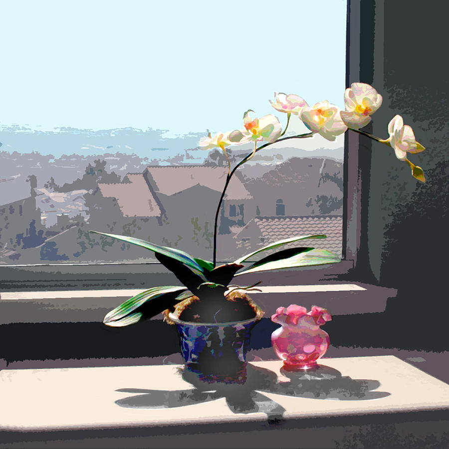 Orchid Painting - Phalaenopsis Orchid in Sunny Window by Elaine Plesser
