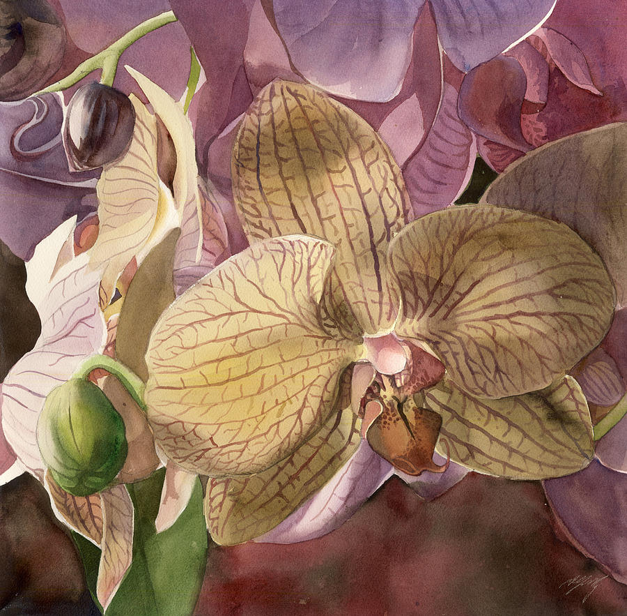 Phalaenopsis orchid with pinks Painting by Alfred Ng