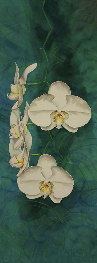 Orchid Painting - Phalaenopsis Beauty by Heather Gallup