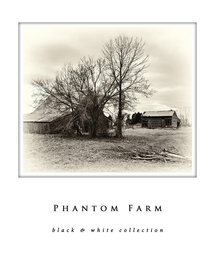 Phantom Farm  black and white collection Photograph by Greg Jackson