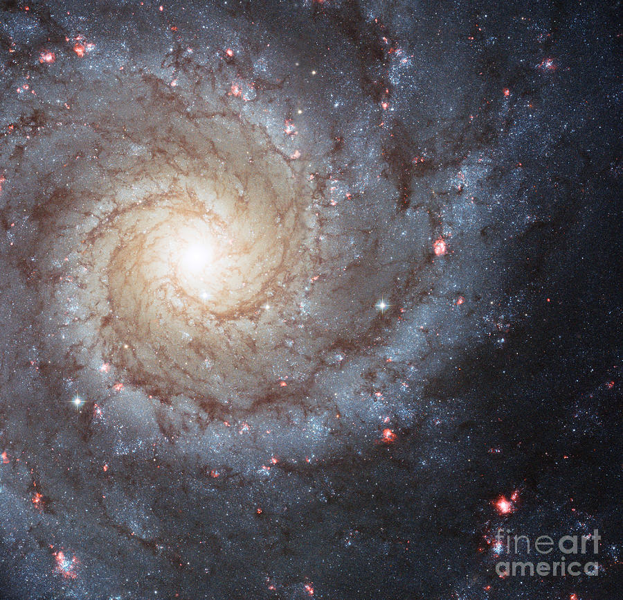 Phantom Galaxy M74 Photograph by Science Source