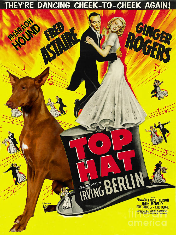 Dog Painting - Pharaoh Hound Art Canvas Print - Top Hat Movie Poster by Sandra Sij