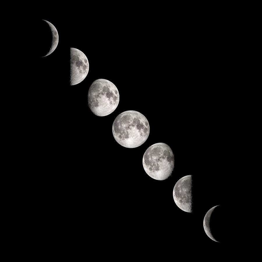 Space Photograph - Phases Of The Moon by Nasas Scientific Visualization Studio/science Photo Library