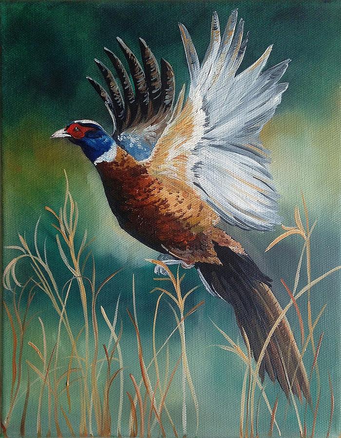 Pheasant in Flight Painting by Jacqueline Schaetzle Pixels