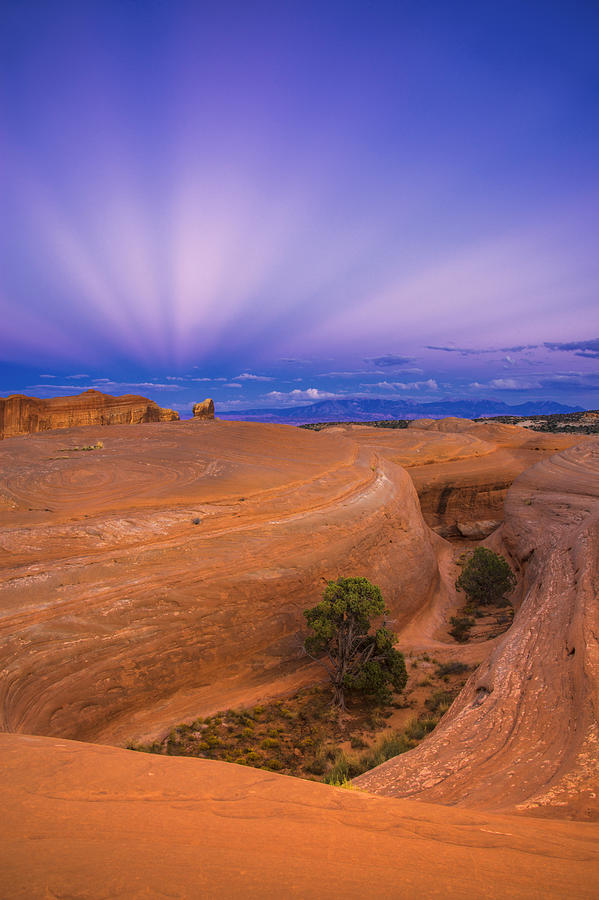 Anticrepuscular Rays Photograph by Dustin LeFevre