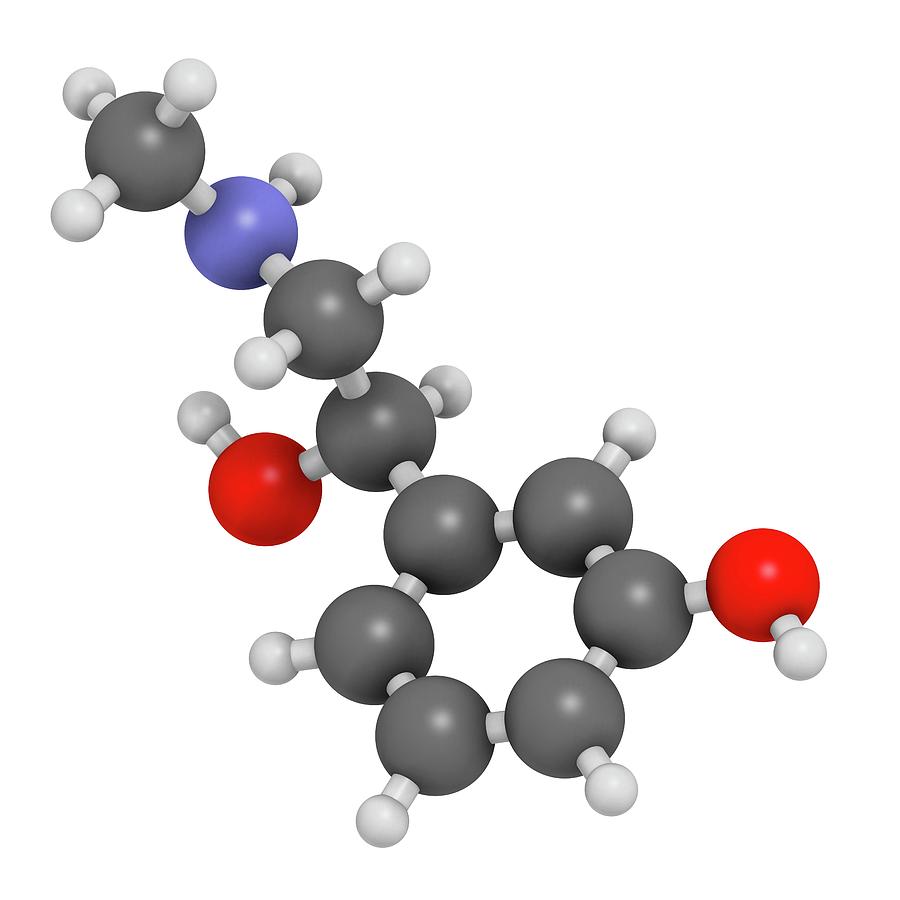 Phenylephrine Decongestant Drug Molecule Photograph By Molekuul