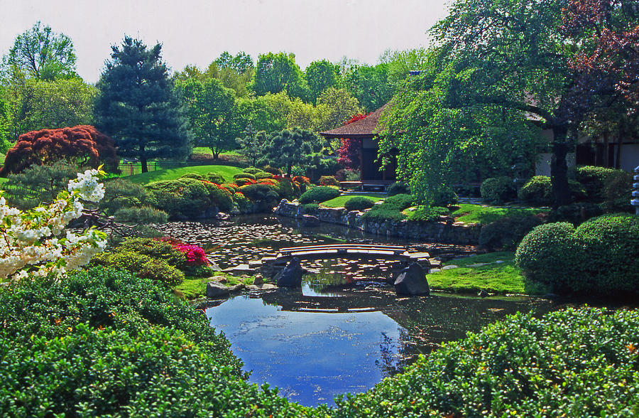 Парк дачи фото Japanese Garden Sunset Photograph By Lorraine Matti - Fine Art America 1C8