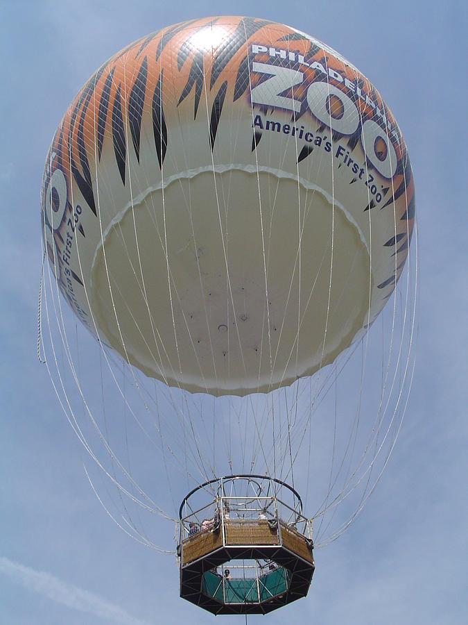 Philadelphia Zooballoon Photograph by Vadim Levin