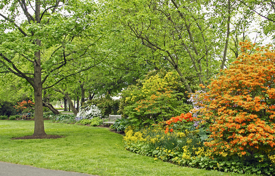 Philadelphias Azalea Garden - Pennsylvania - USA Photograph by Carol Senske
