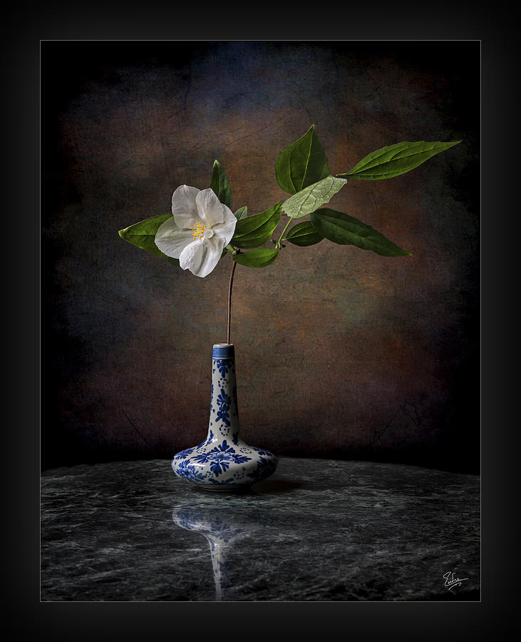 Philadelphus in Vase Photograph by Endre Balogh