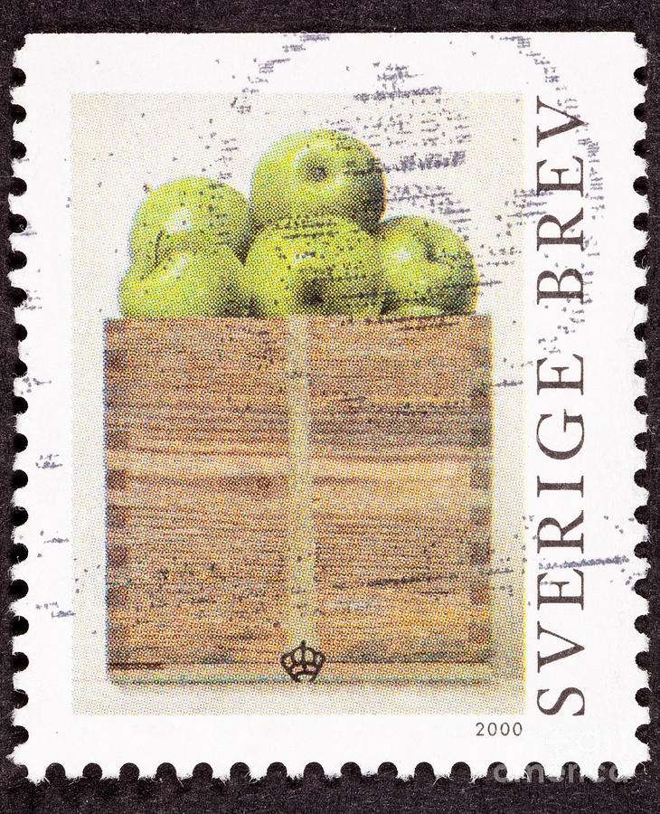 Apple Photograph - Philip Von Schantz Painting of a Peck of Green Apples  by Jim Pruitt