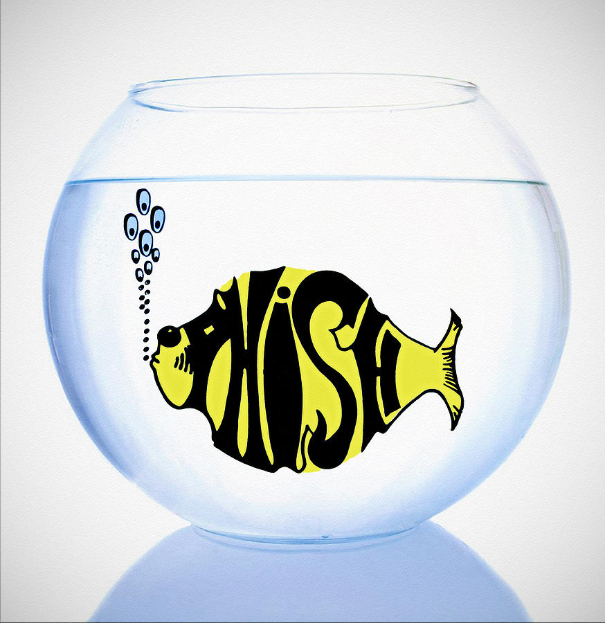 Goldfish Photograph - Phish Bowl by Bill Cannon