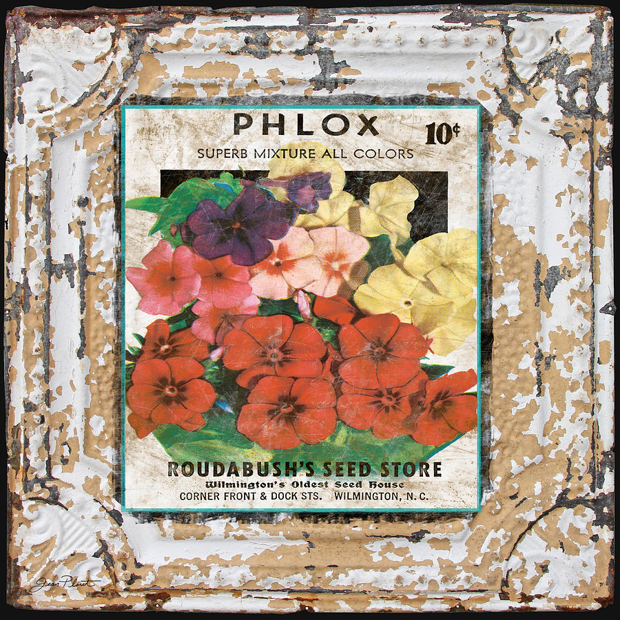 Phlox on Vintage Tin Digital Art by Jean Plout