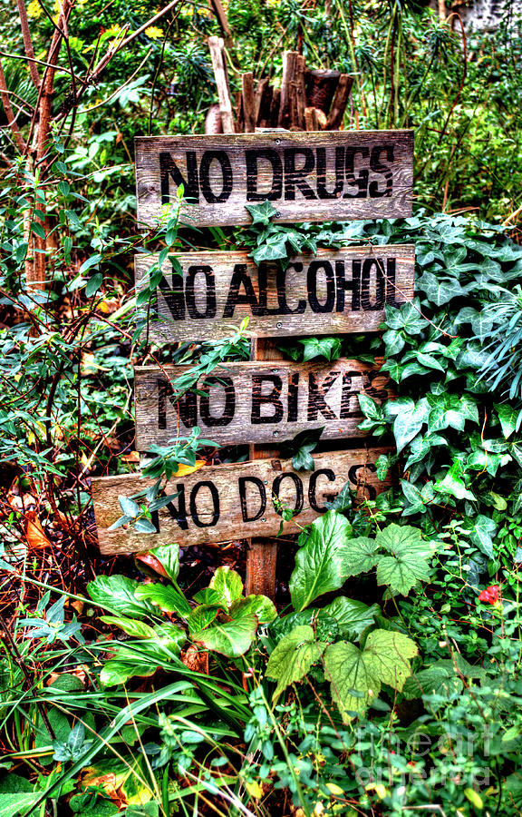 Phoenix Garden Sign Photograph by Deborah Smolinske