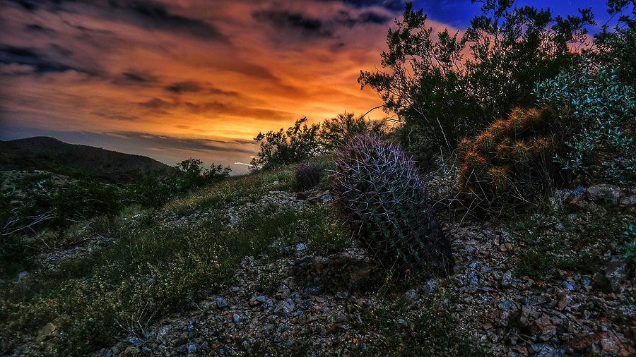Phoenix Photograph - Phoenix Sun by Lance Kenyon