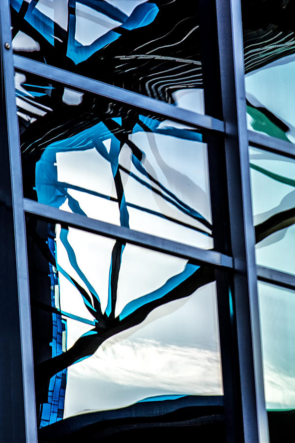 Phoenix Window Reflecting Grids Digital Art by Georgianne Giese